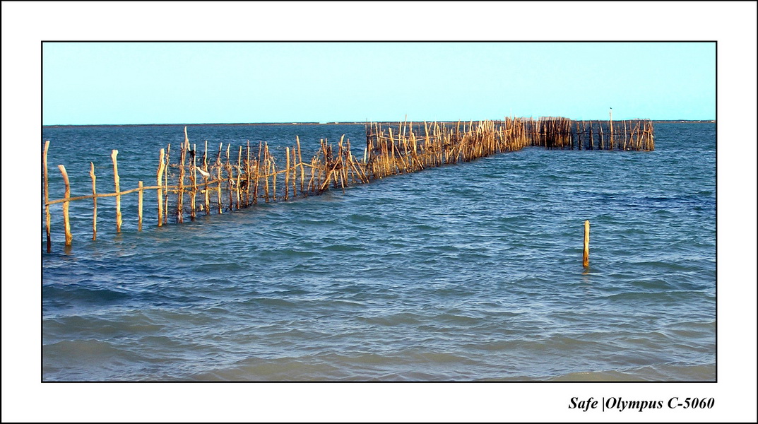 2005 - 11 - Maragogi - plage pousada 03.JPG
